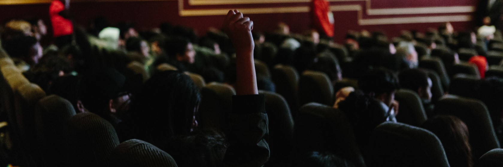 Live Q&A at the cinema