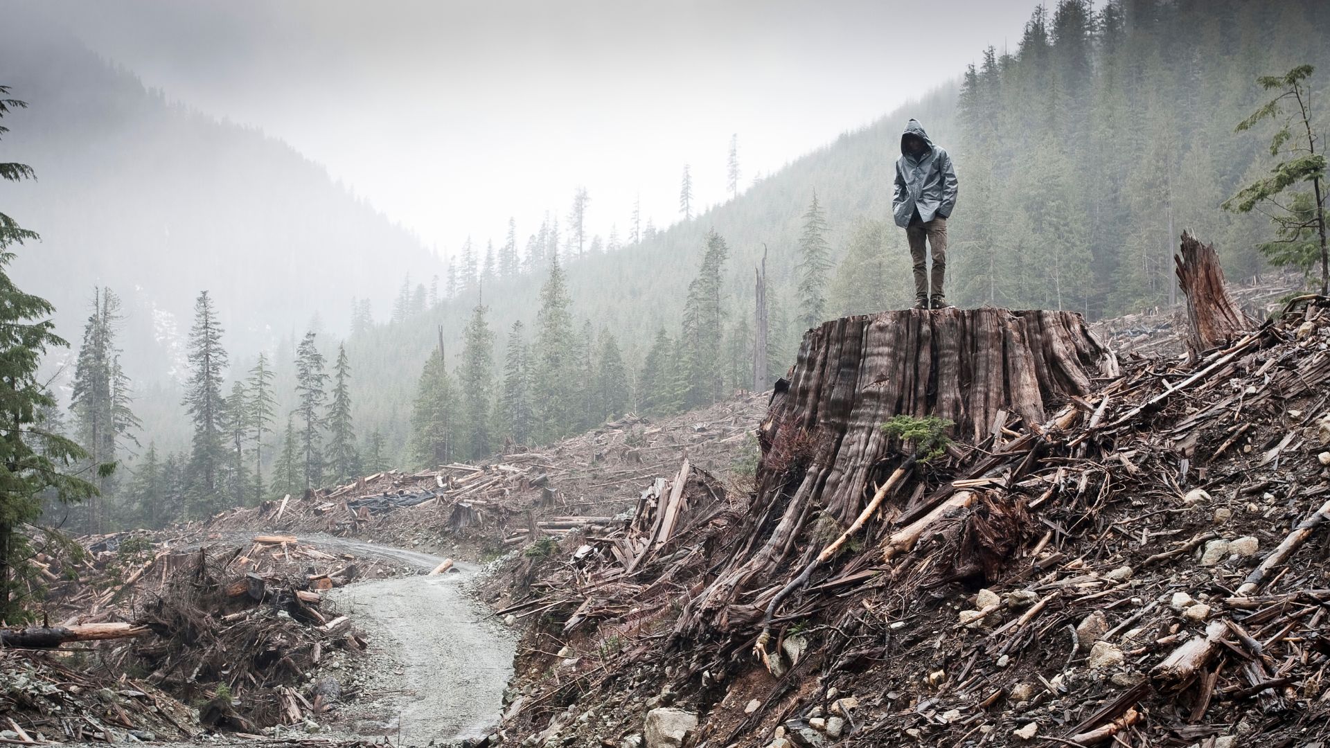 Film still of If a Tree Falls: A Story of the Earth Liberation Front (D: Marshall Curry) 